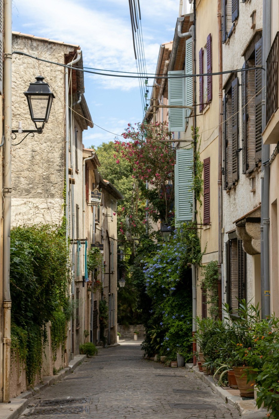 Une ruelle pavée fleurie du Vieil Antibes, entre façades à volets verts