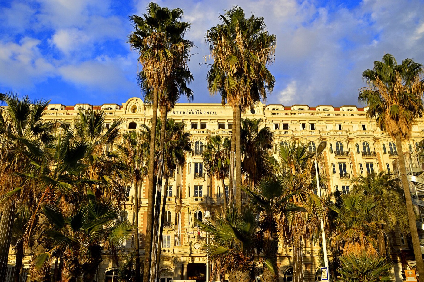 Les palmiers de la Croisette devant la façade Belle Époque de l'hôtel Carlton