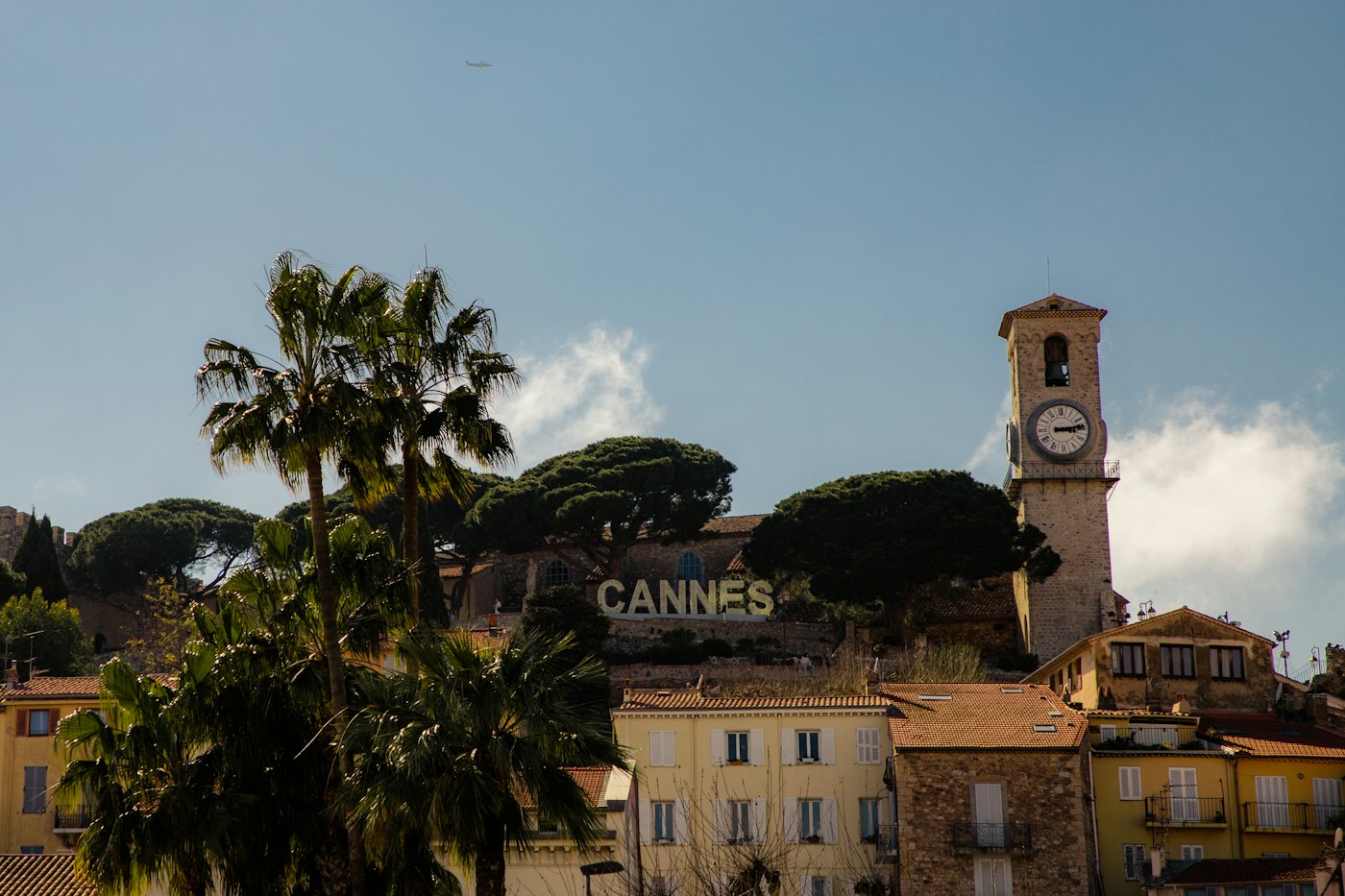 Palmiers et clocher du Suquet à Cannes