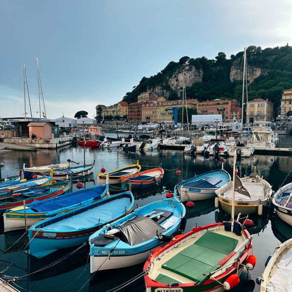 Barques de pêche colorées amarrées au port de Nice
