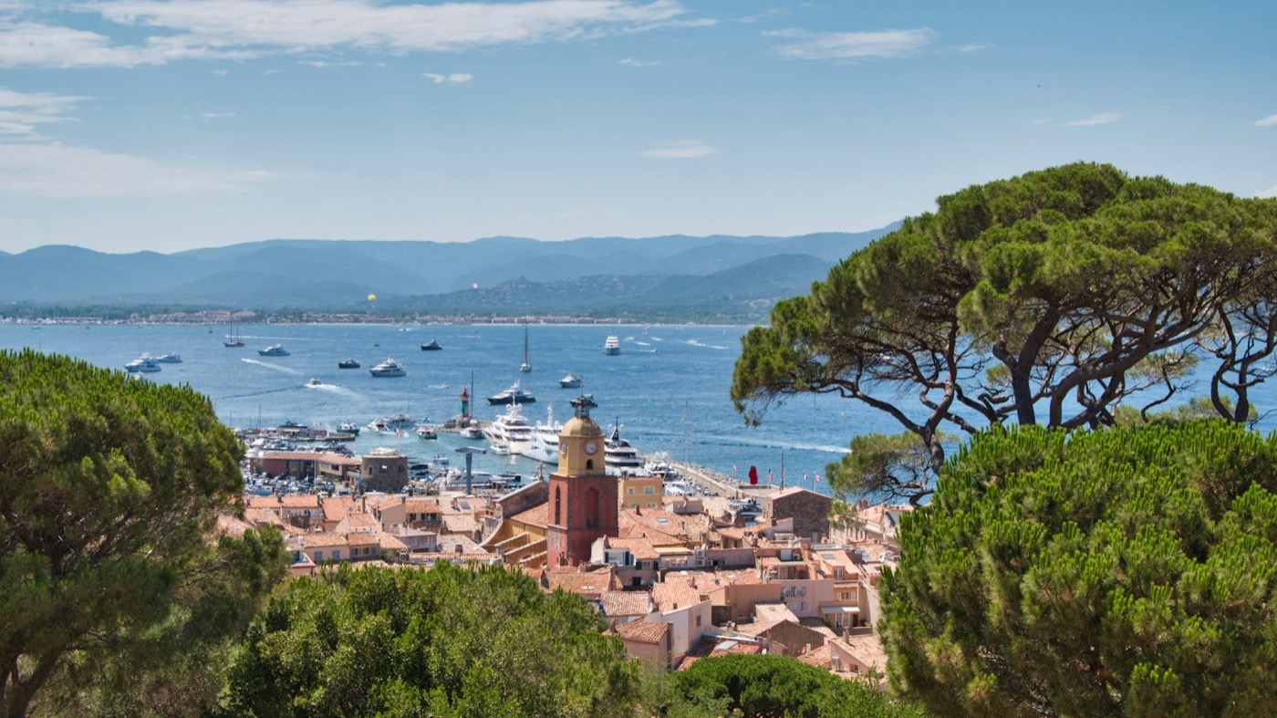 Le clocher de Saint-Tropez et le golfe vus à travers les pins parasols